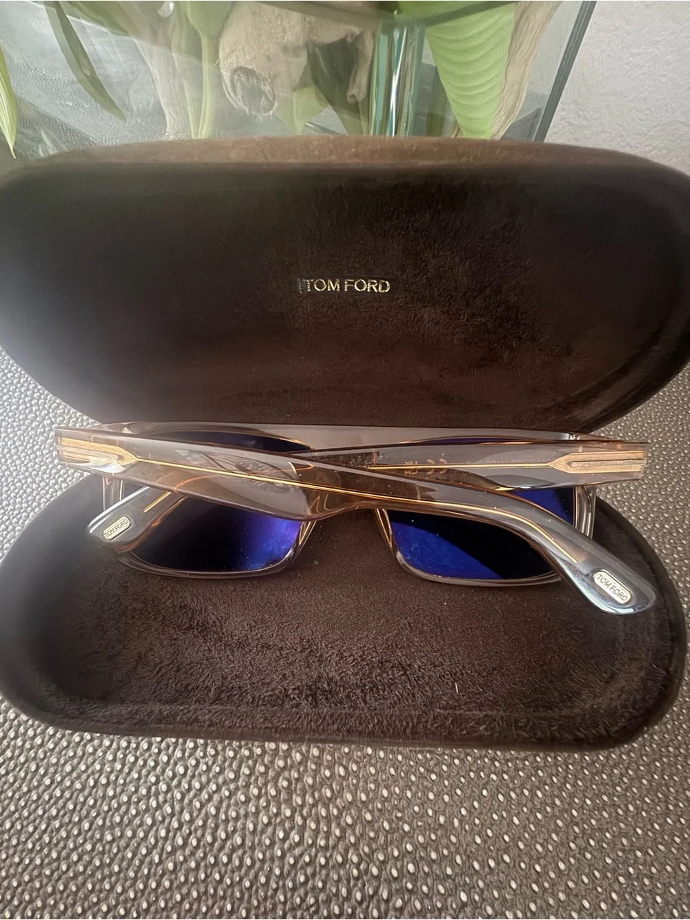 Tom Ford Amber Brown Transparent Rectangular Sunglasses with Dark Lenses